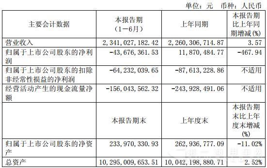 主要會計數(shù)據(jù).jpg