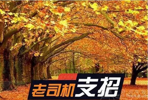 秋風起 換季保養(yǎng)車輛8項要注意.jpg