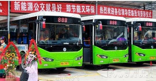 四川：涼山甘洛首批12輛純電動(dòng)公交車正式投入運(yùn)營(yíng).jpg