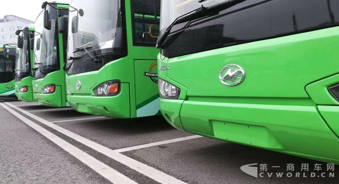 東城公交購買的批量海格純電動客車.jpg